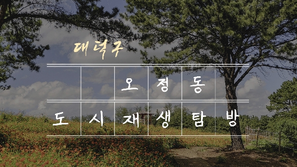 소셜비즈니스융합전공_도정동 도시재생탐방 대표이미지