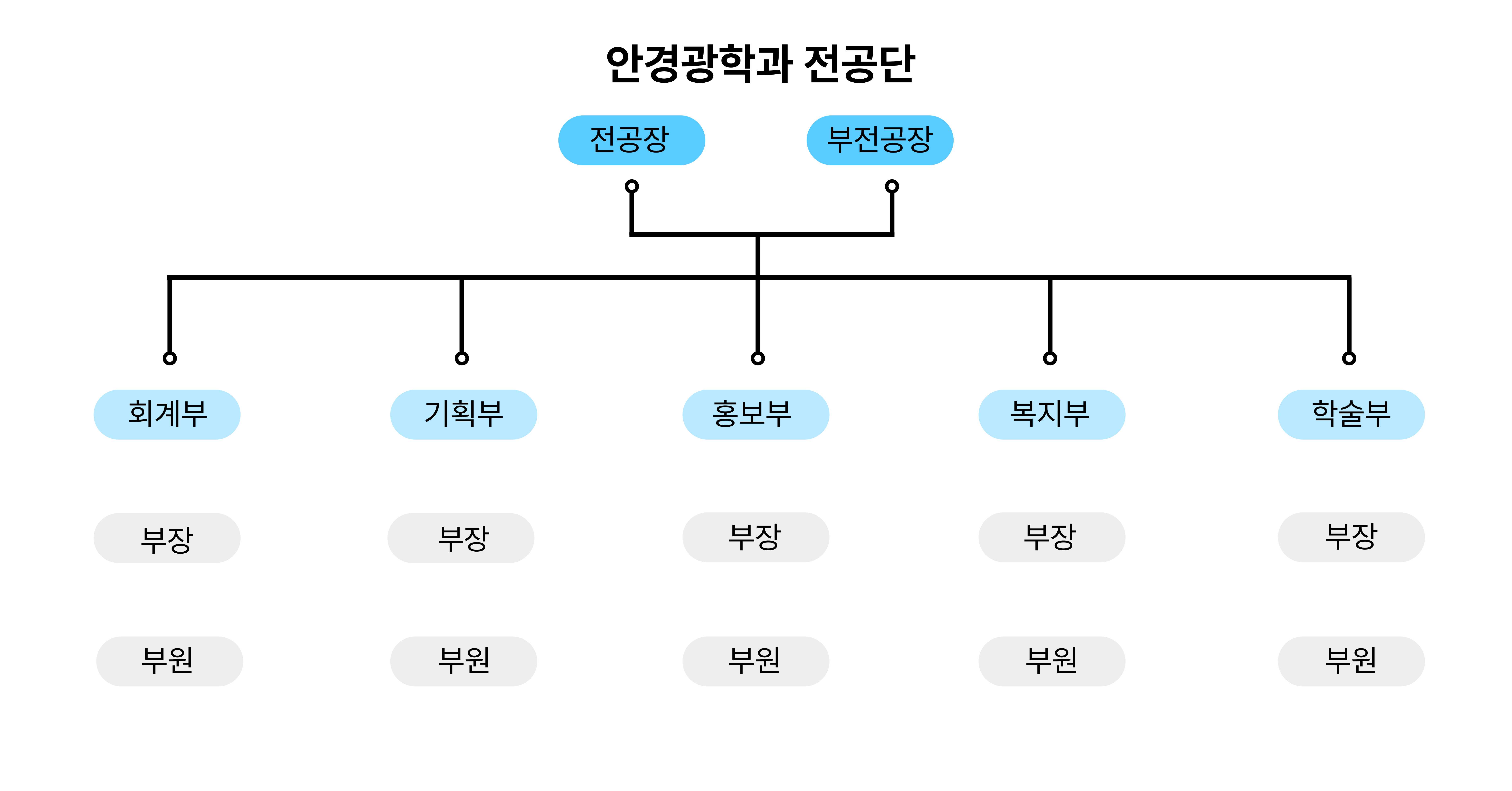 안경광학과 전공단 조직도