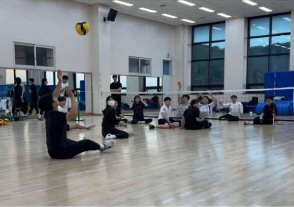 좌식배구부 대표이미지