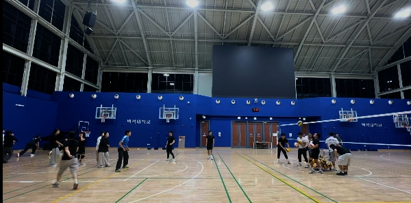 배구부 대표이미지